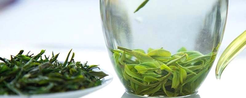 关于56000次采摘方得1斤！火出国门的三峡毛尖，天然清香！的最新资讯