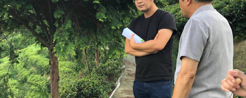 有关于福建省现代茶业产业技术体系福鼎综合试验站开展调研指导工作的资讯