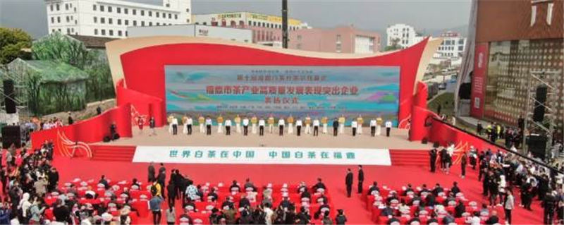 有关于第十届福鼎白茶开茶节在点头镇观洋村举行的热门信息