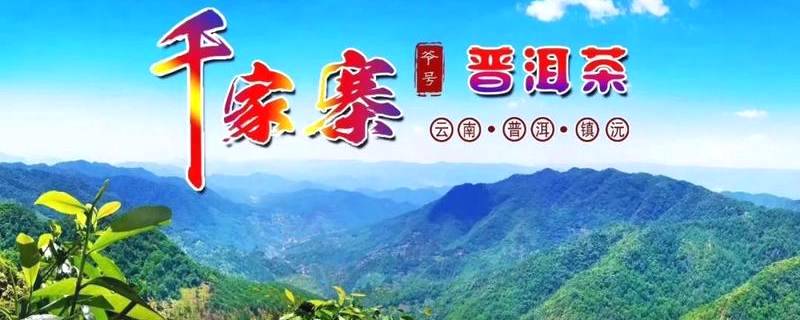 关于茶届大咖王岳飞为千家寨爷号普洱茶打call的最新信息