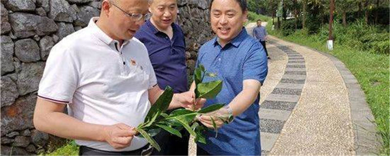 有关于全国优秀县委书记刘勇会：为民多啃“硬骨头”的新闻