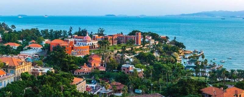 有关于福建省出台十条措施，加强茶产业职业技能提升的热门新闻