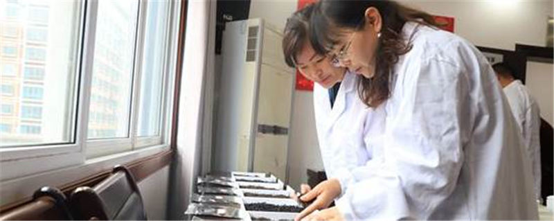 有关于第13届贵州茶产业博览会六盘水人民广场举行的信息