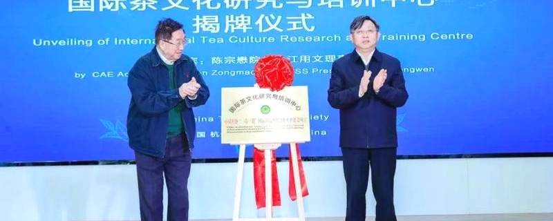 有关于中国茶叶学会成立国际茶文化研究与培训中心的资讯