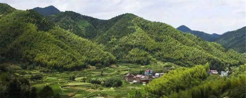 有关于浙江兰溪：新茶飘香 一片小叶子“沏出”乡村振兴路的热门新闻