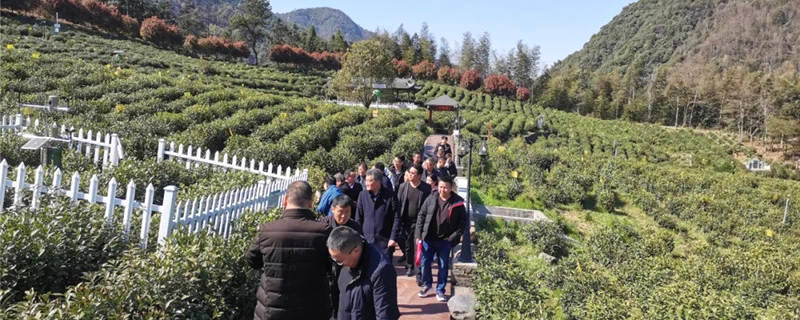 关于岳西县农业农村局副局长方再友一行赴泾县考察交流茶业发展的消息