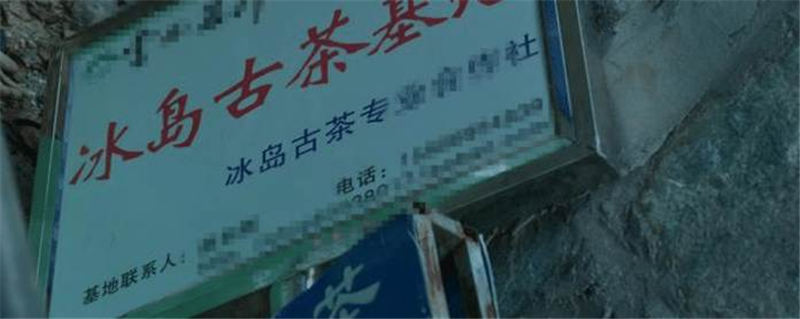 有关于插牌却不收茶的奸商！终于活成普洱茶界的悲剧的最新消息