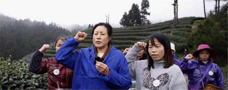 关于贵州黎平315家茶企宣誓：做生态茶、干净茶、放心茶！的信息