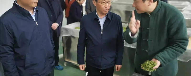 关于湖北襄阳：冯艳飞调研汉家刘氏茶走出国门情况的信息
