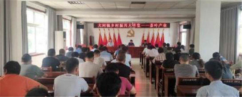 关于桐柏县大河镇：做强特色茶叶产业 助力乡村振兴发展的资讯