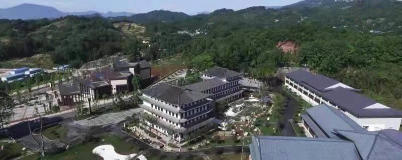 有关于四川省茶叶行业协会一行赴四川蒙顶山跃华茶业集团有限公司调研的最新消息