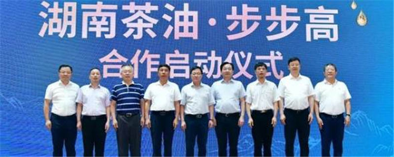 关于“湖南茶油”公共品牌正式入驻步步高超市的消息