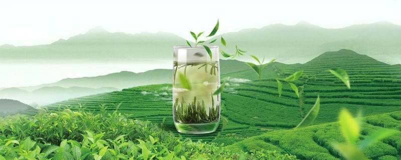 关于农业农村部茶叶专家指导组：2021年茶园春季生产技术指导意见的最新信息