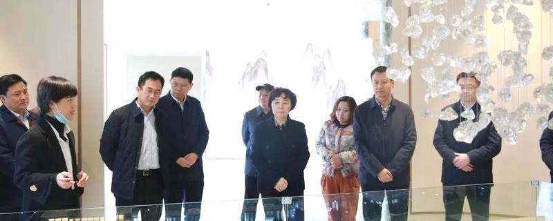 有关于四川省政协副主席祝春秀带队到雅安调研茶产业发展的最新消息