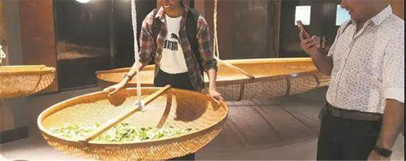 有关于海外嘉宾赞茶乡！泉州举办“海外嘉宾感知泉州行”活动的热门新闻