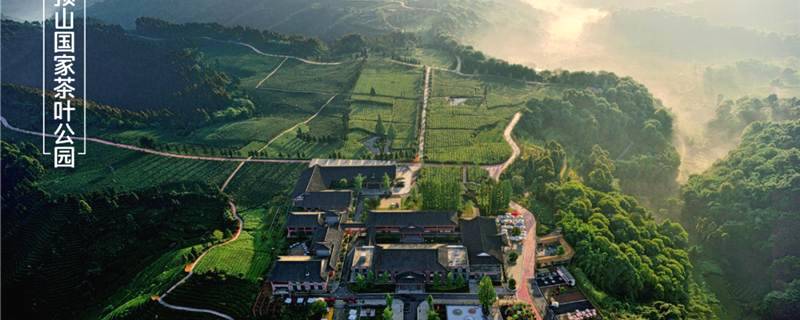 关于雅安名山：建设国家茶叶公园城市，展望“十四五”，我们这样做的消息