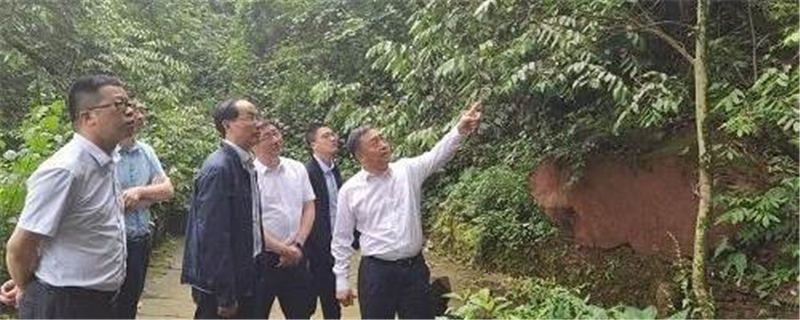 有关于市场监督管理总局食品生产司司长马纯良一行来名调研蒙顶山茶产业发展的热门信息