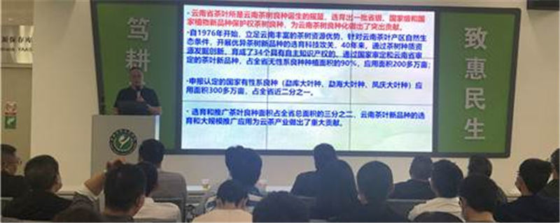 有关于云南省农科院茶叶科技花开云岭 科技支撑引领云茶产业高质量发展的最新资讯