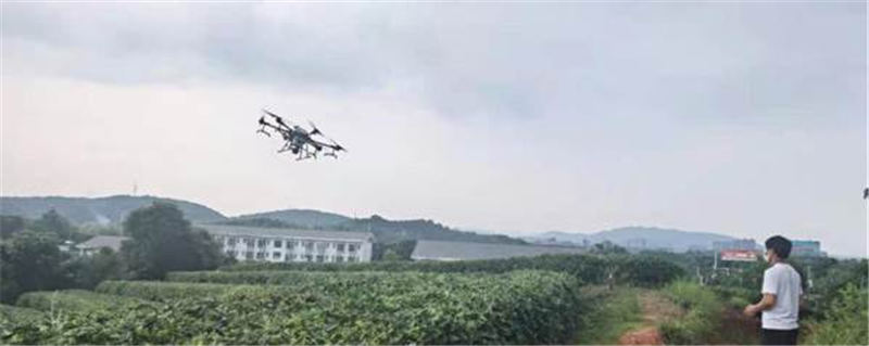 有关于醴陵：无人机助力茶园 病虫害防治效果提升的新闻