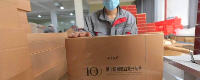 有关于第十届福鼎白茶开茶节纪念茶是什么样？去看看的资讯