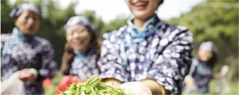 关于越茶文化新地标 绍兴首个越茶博物馆正式开馆的热门新闻