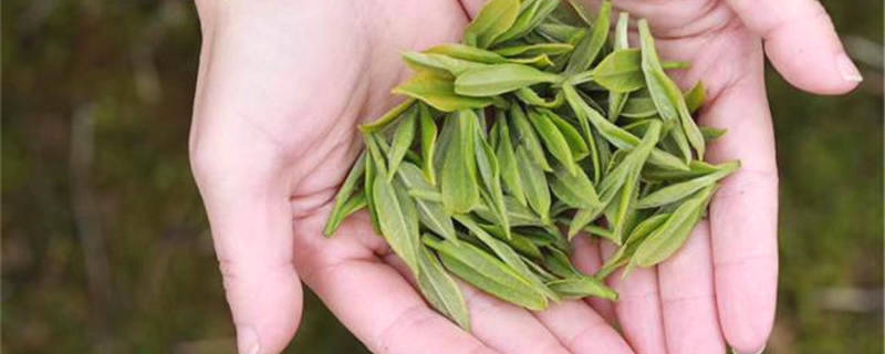 有关于贵州纳雍县：延伸茶产业链多渠道促农增收的热门消息