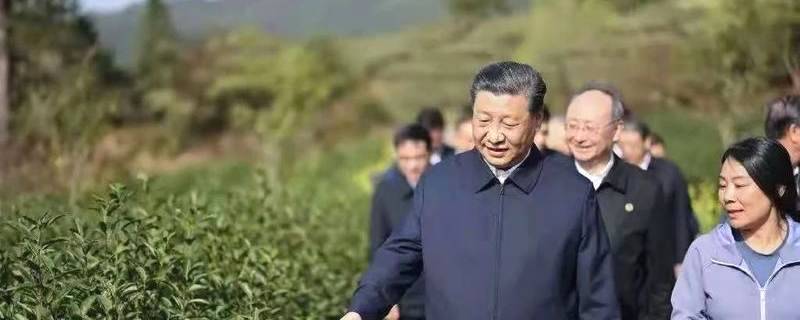 有关于《中国茶全书·四川卷》工作组一行走进湖南长沙参观考察的热门新闻