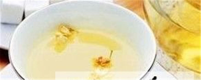 关于荷叶茶之零距离体验的最新消息