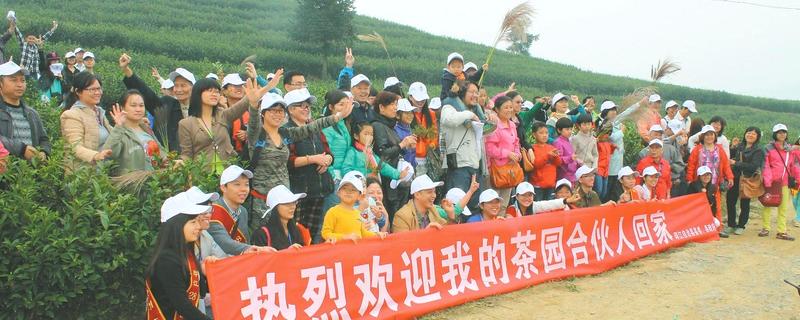 关于100名网友来印江认购茶园的热门新闻