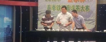 有关于2013“金水杯”春季铁观音斗茶大赛在郑州举行的热门信息