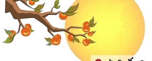 有关于南宁：弘扬茶文化 演绎茶艺术的热门资讯