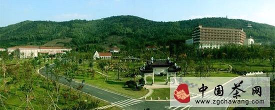 关于参观宜兴阳羡茶文化博物馆的信息