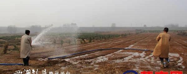 关于山东莒南：老子峪茶树基地热火朝天种茶忙(图)的热门消息