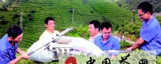 有关于贵州省加快建设高效茶园 多元产品提高茶叶效益的新闻