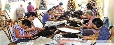 有关于福鼎点头镇茶叶加工区为老年人增收的最新消息