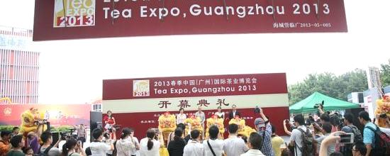 关于90万元百年古董茶亮相春季广州茶博会的热门新闻