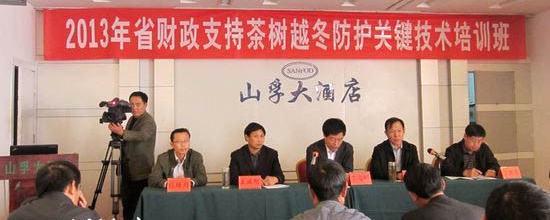 关于山东省财政支持茶树越冬防护技术项目会议在日照举行的最新消息