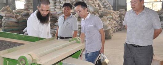 有关于阿尔及利亚客商考察徽茶 并订购岳西夏秋茶300吨的消息