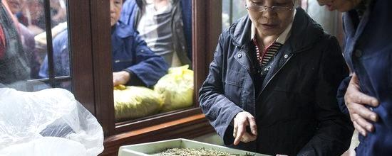 关于张一元开始收购狮峰龙井茶 茶农热情高涨的热门资讯