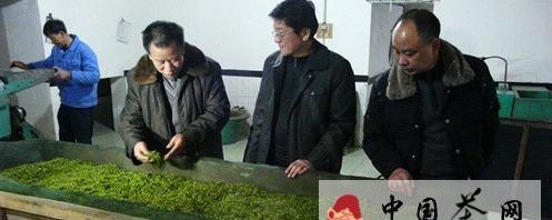 有关于又到春茶上市季 川茶将打响马年品牌突围战的最新信息