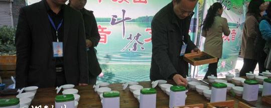 有关于平顶山首届铁观音文化节在中央茶城举行(图)的热门新闻