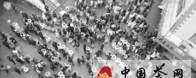 有关于纪录片描摹茶文化地图 故事化展现茶俗的信息