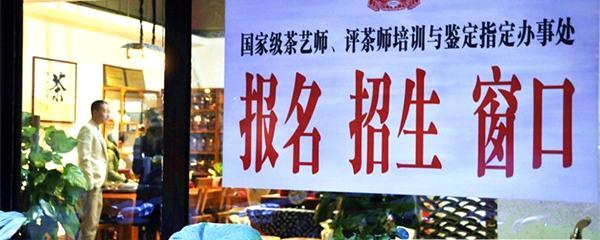 有关于郑州市出现专业茶艺师人才“紧缺”的最新资讯