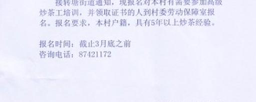 有关于西湖龙井高级炒茶工培训开始了的新闻