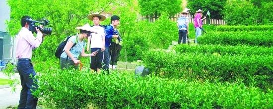 有关于安溪：融入“东亚文化之都” 打造茶文化旅游胜地的新闻