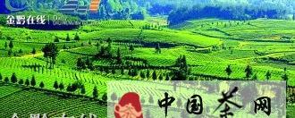 关于走进“中国西部第一茶叶专业村”凤冈田坝的消息