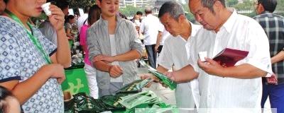有关于凤冈19家茶企亮相筑城万人品茗的资讯
