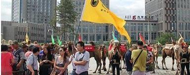 关于重走亚欧茶叶之路呼和浩特站驼队整装出征的资讯