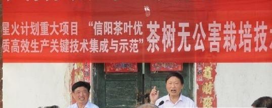 有关于信阳著名茶乡开展无公害茶叶生产技术培训的热门信息