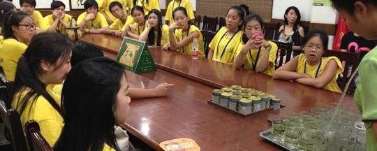 关于“中国寻根之旅(杭州)”夏令营华裔青少年参观中国茶叶博物馆的热门资讯